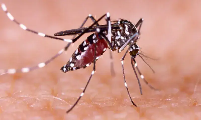 MinSalud contabiliza más de 112 mil fumigaciones contra el dengue
