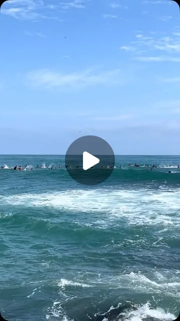 Publicación de Instagram de Surf Vzla & Kite