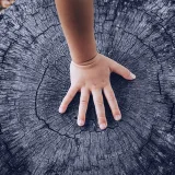 New clues to slow aging? Scientists use genetic rewiring to increase lifespan of cells