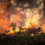 Inameh advierte riesgo de incendios forestales en Zulia y Llanos 