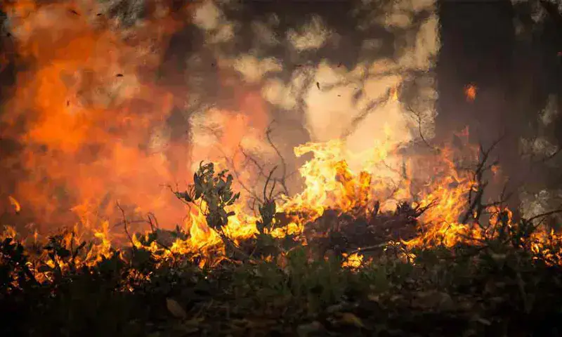 Inameh advierte riesgo de incendios forestales en Zulia y Llanos 