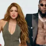 Shakira publicó la versión en español de Dai Dai
