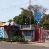 
				Tala de árboles contradice funciones de Hidrolago			